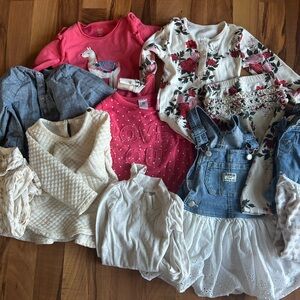 Winter Baby Girl Bundle 18mo